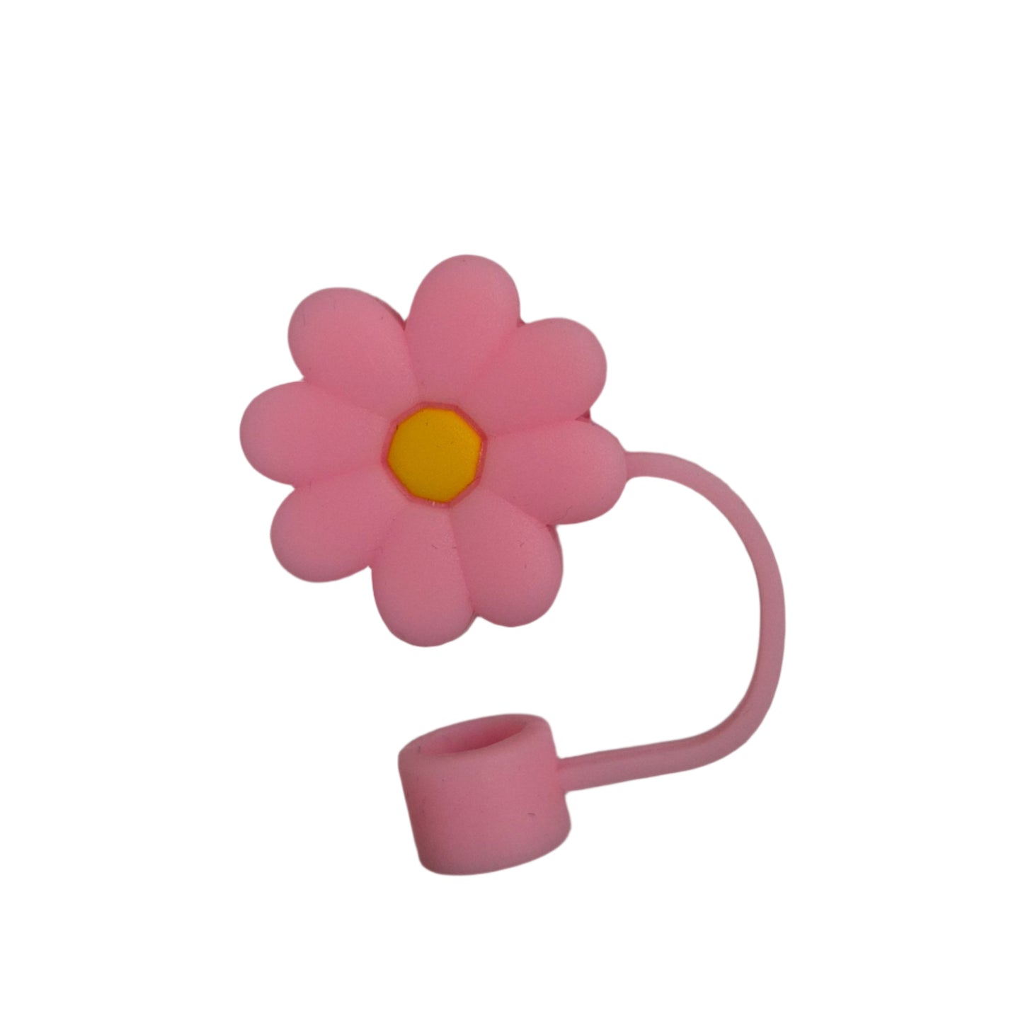 Cute Straw Cover + Straw (Pack of 2)