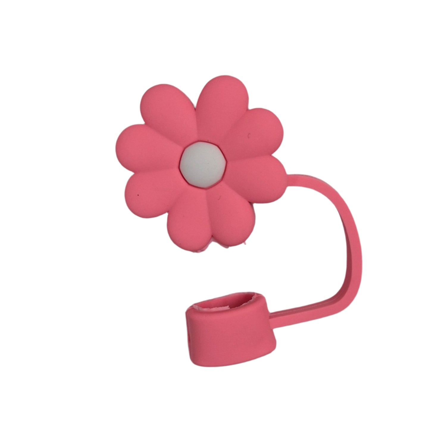 Cute Straw Cover + Straw (Pack of 2)