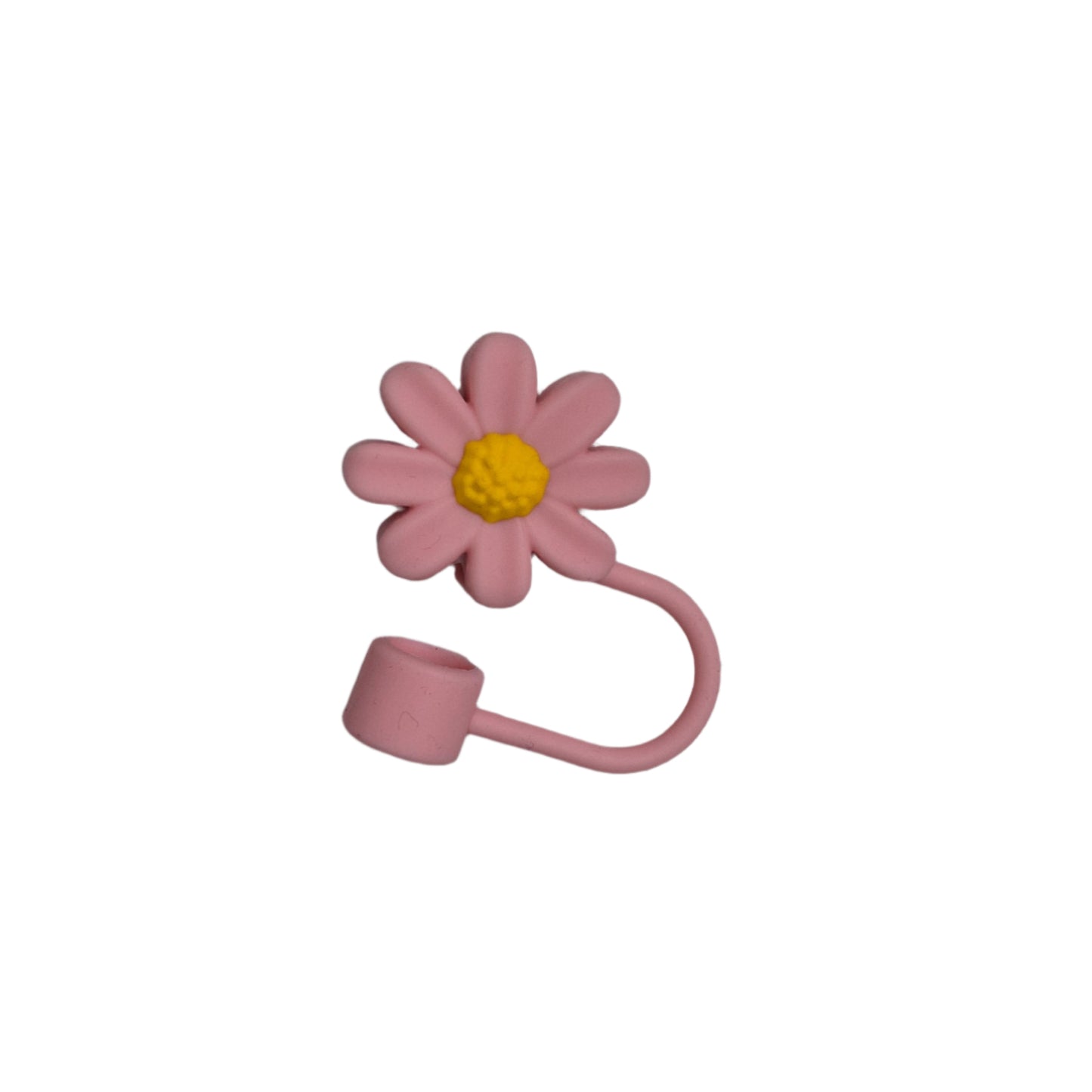 Cute Straw Cover + Straw (Pack of 2)