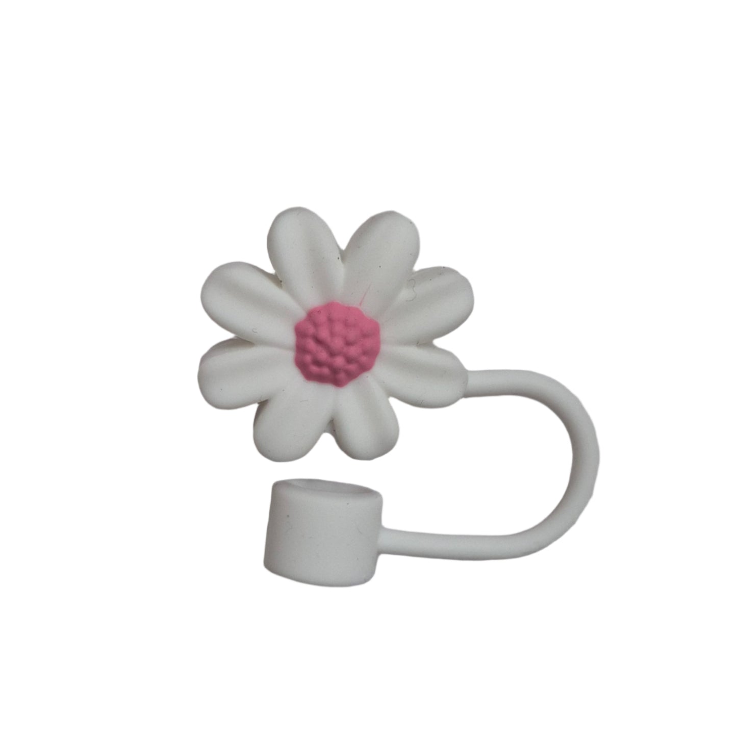 Cute Straw Cover + Straw (Pack of 2)
