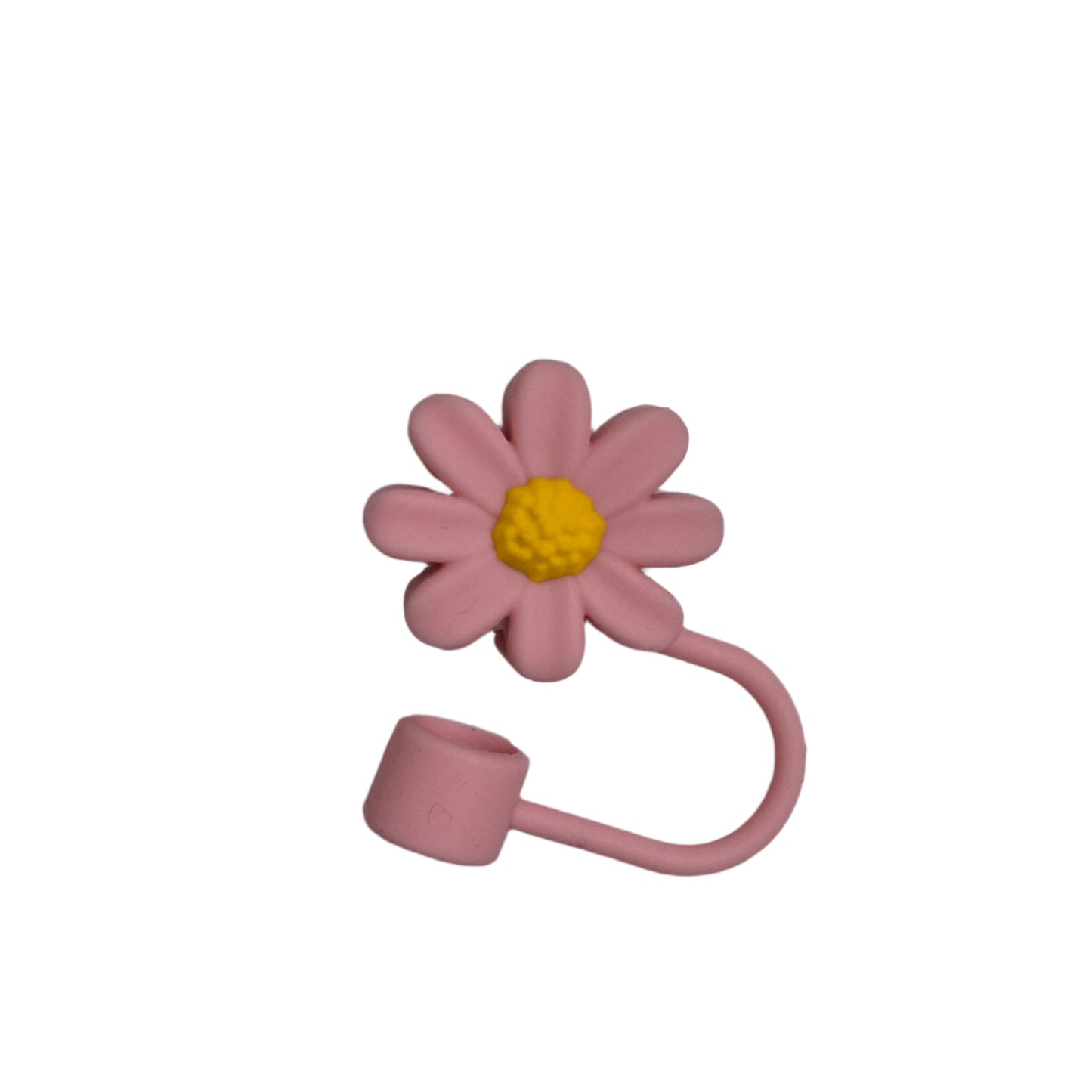 Cute Straw Cover + Straw (Pack of 2)