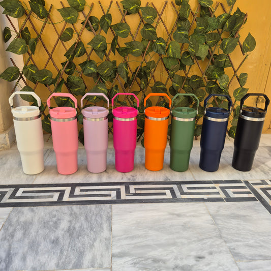 Stainless Steel Tumbler with top handle with straw inside