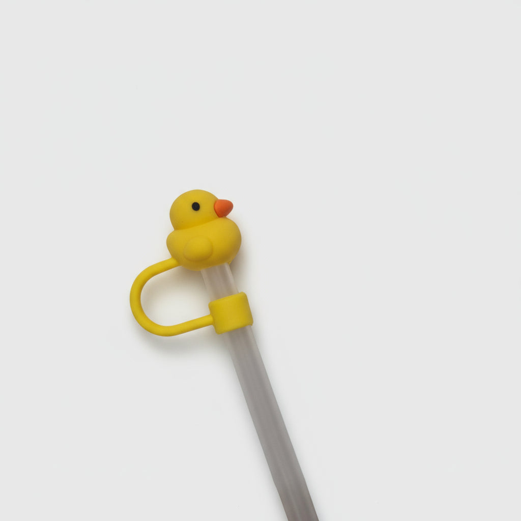 Cute Straw Cover